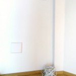 Mumbleweed installed