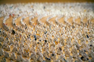 Oh Dear! Oh Dear! I Shall be Too Late!